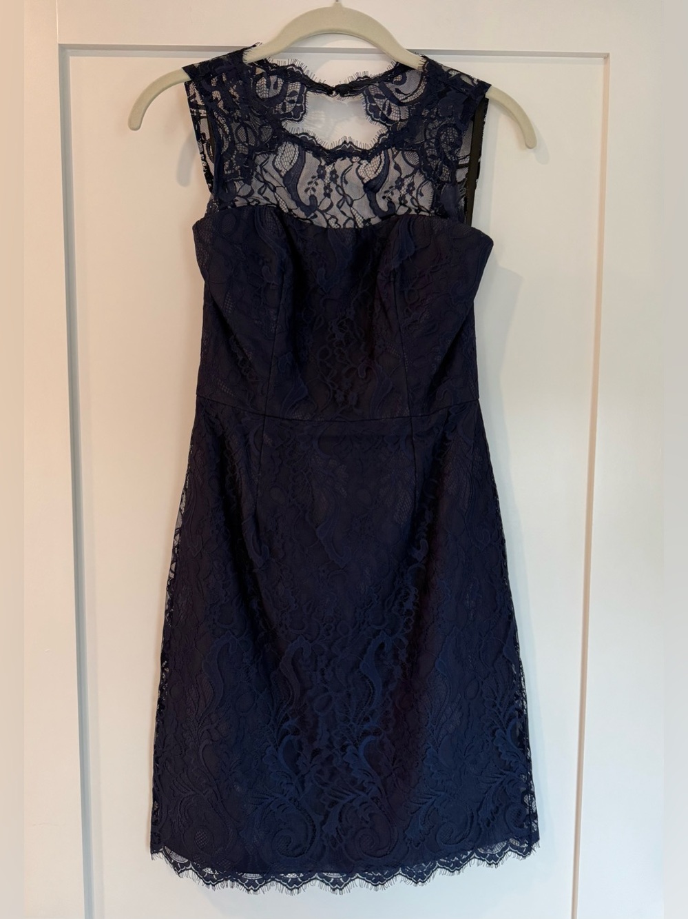 Stunning Sleeveless Navy Lace Sheath Dress (2)